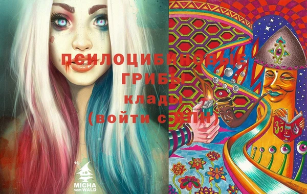 spice Беломорск