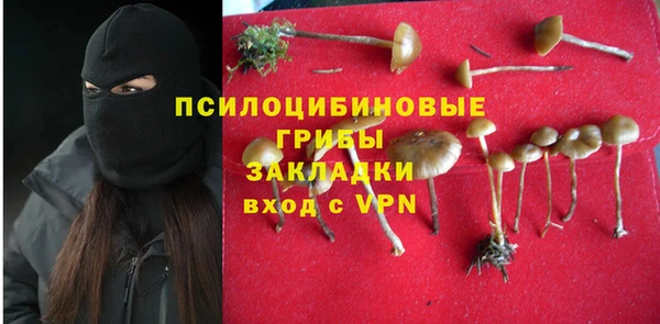 винт Бородино